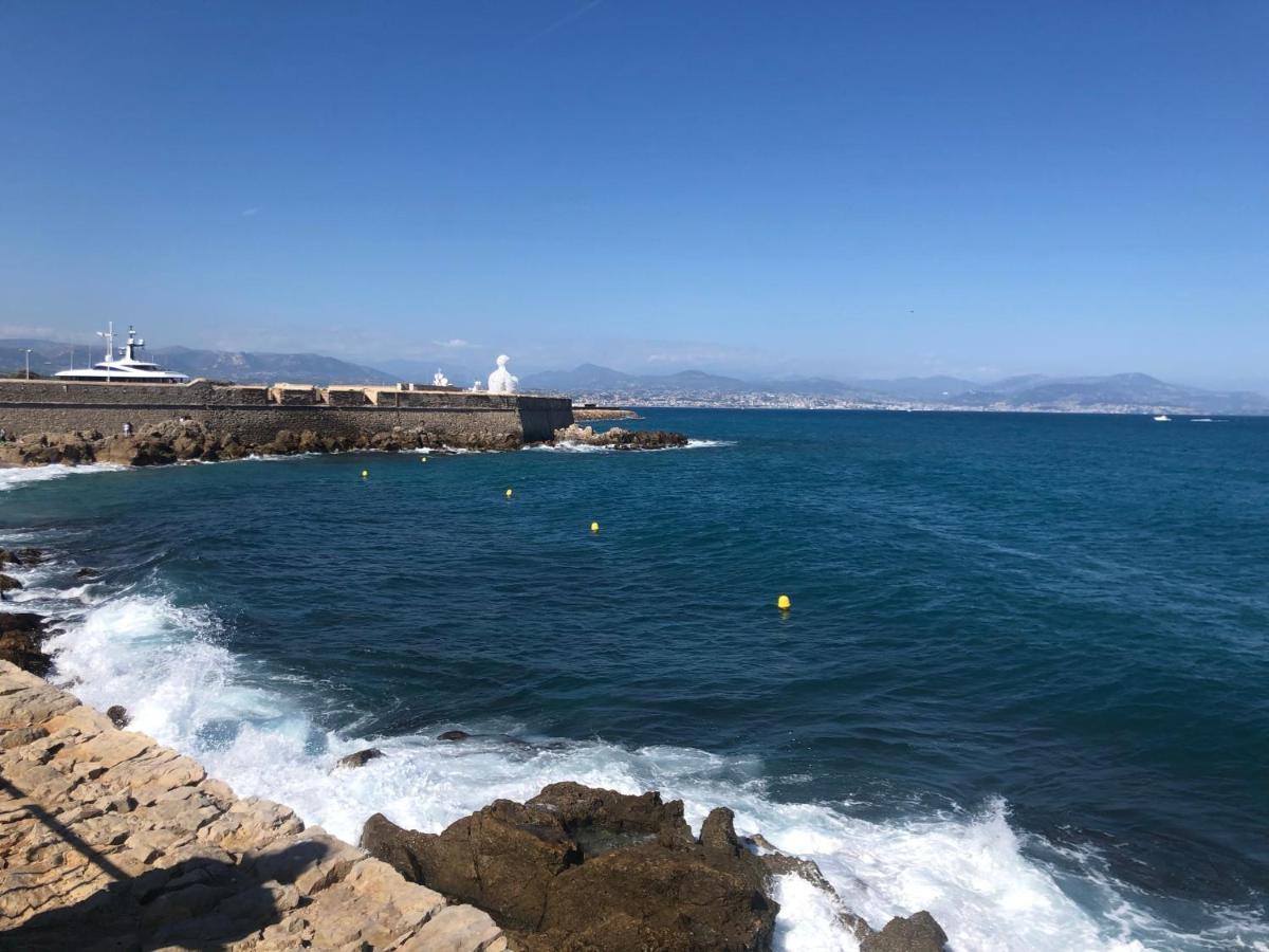 Vieil Antibes, Ravissant 2P Avec Petite Terrasse Leilighet Eksteriør bilde